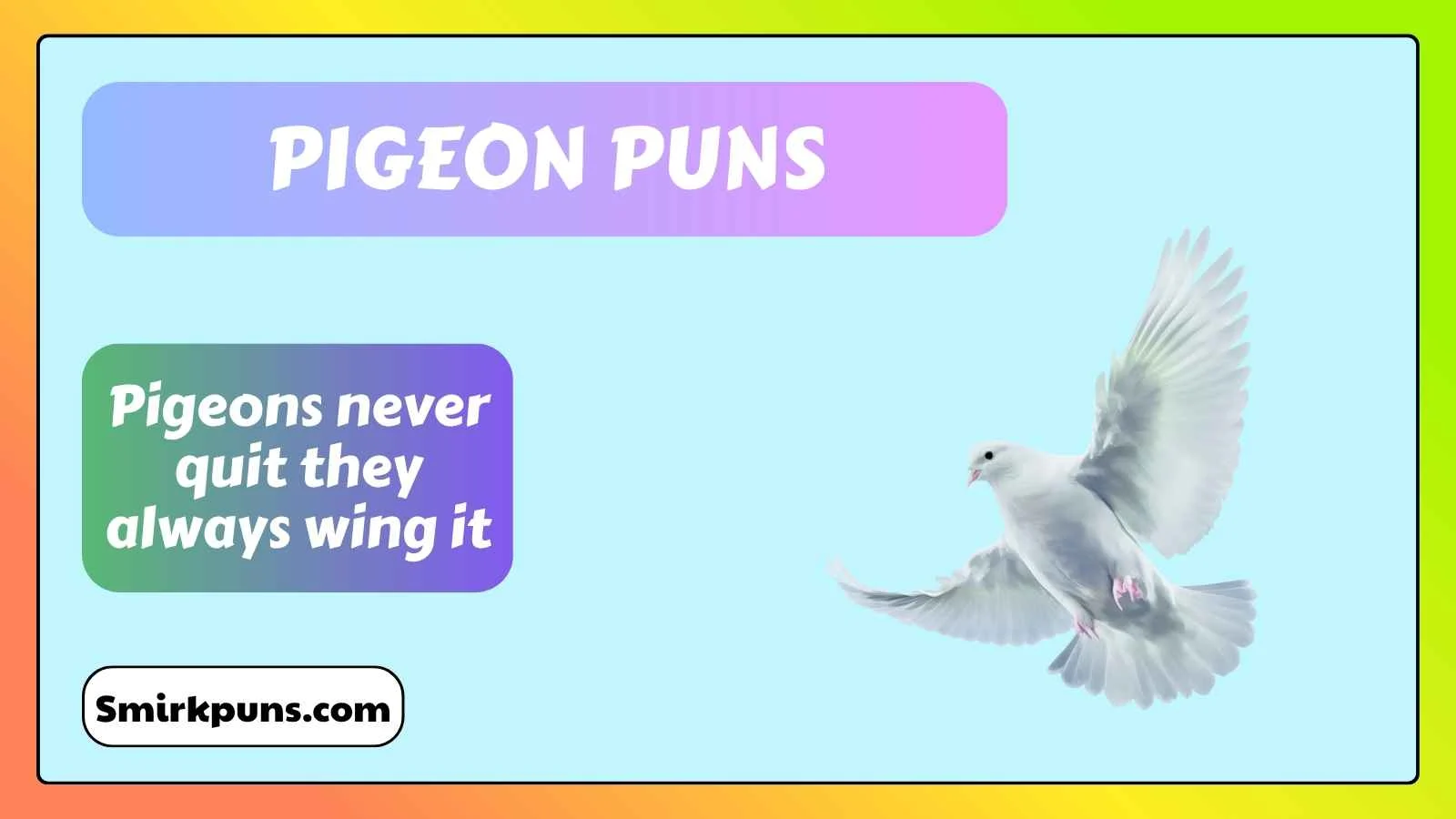 Pigeon Puns
